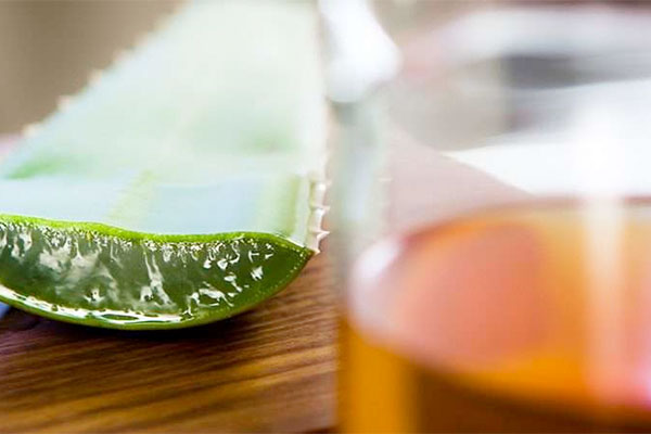 Stellungnahme Aloe Vera