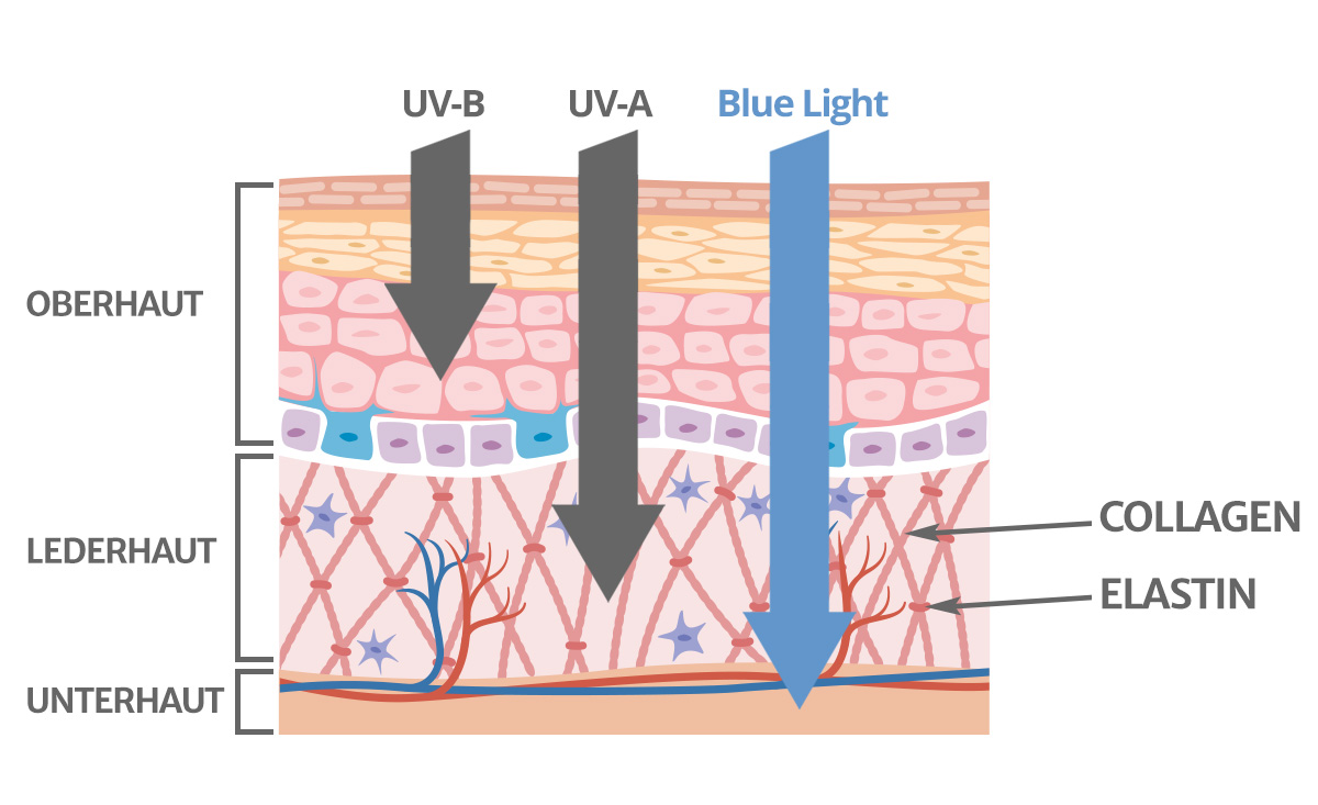 Marine Violin Medicinsk Digital Aging - How dangerous is Blue Light for our skin? | Blog | Dr  Schneider