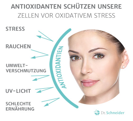 teaser_skin_Antioxidantien